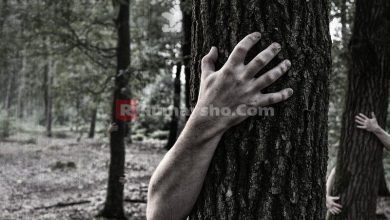 Sifat Manusia Tidak Pernah Merasa Puas dengan Harta