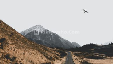 Do’a Saat Safar, Do’a yang Mustajab