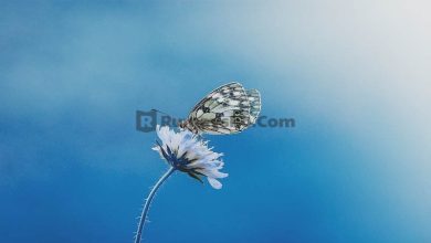 Bagaimana kiat istiqamah bakda Ramadhan?