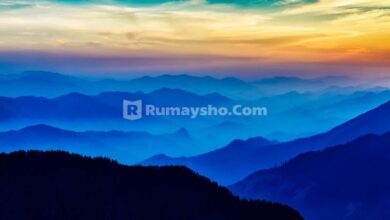 Dijanjikan bebas dari neraka dengan mengerjakan empat rakaat qabliyah dan bakdiyah Zhuhur. Yuk rutinkan!