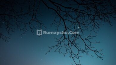 Berapa jumlah rakaat shalat malam yang dilakukan oleh Nabi shallallahu 'alaihi wa sallam? Benarkah tidak lebih dari 11 rakaat?