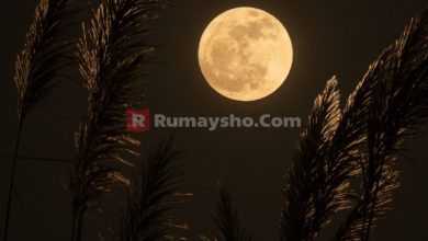 Adzab Mengerikan Bagi Orang Yang Melecehkan Ajaran Nabi