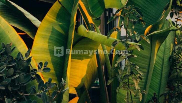 11 Amalan Ketika Berbuka Puasa