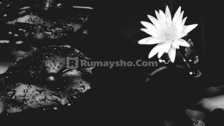 Tatkala Istri Durhaka/Nusyuz