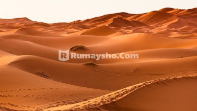 Keutamaan Hari Arafah