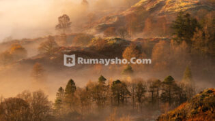 Antara Bid’ah dan Amalan yang Menyelisihi Sunnah