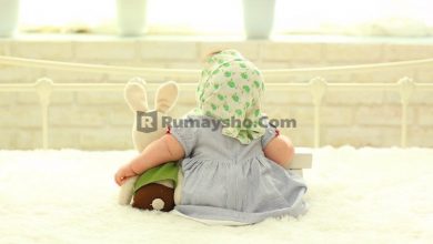 Hukum Boneka