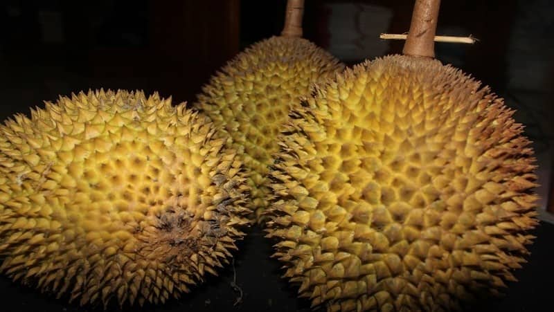 durian_alkohol