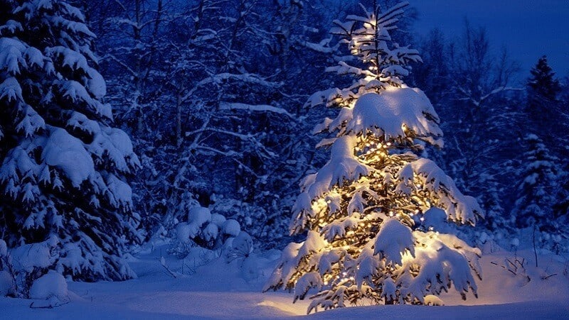natal_5