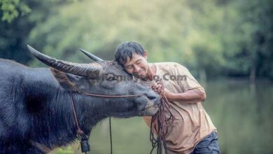 Hukum qurban atas nama orang yang telah meninggal dunia, bagaimana?