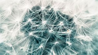 Kalimat Tauhid itu Ringan Diucapkan, Namun Berat Di Timbangan