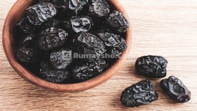 Khasiat Kurma Ajwa (Kurma Madinah) dari Hadits Nabi