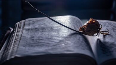 Menghadapi ujian hidup dengan penuh kesabaran dan mendekatkan diri kepada Allah adalah tuntunan penting dalam Islam. Shalat dan sabar menjadi dua penolong utama bagi setiap muslim dalam menjalani setiap tantangan hidup, sebagaimana diperintahkan Allah dalam QS. Al-Baqarah: 45.